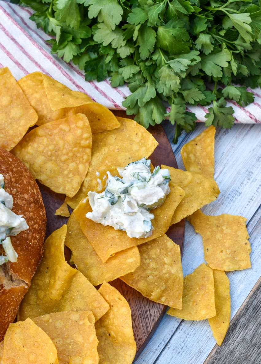 a scoop of spinach artichoke chicken salad on a bed of tortilla chips