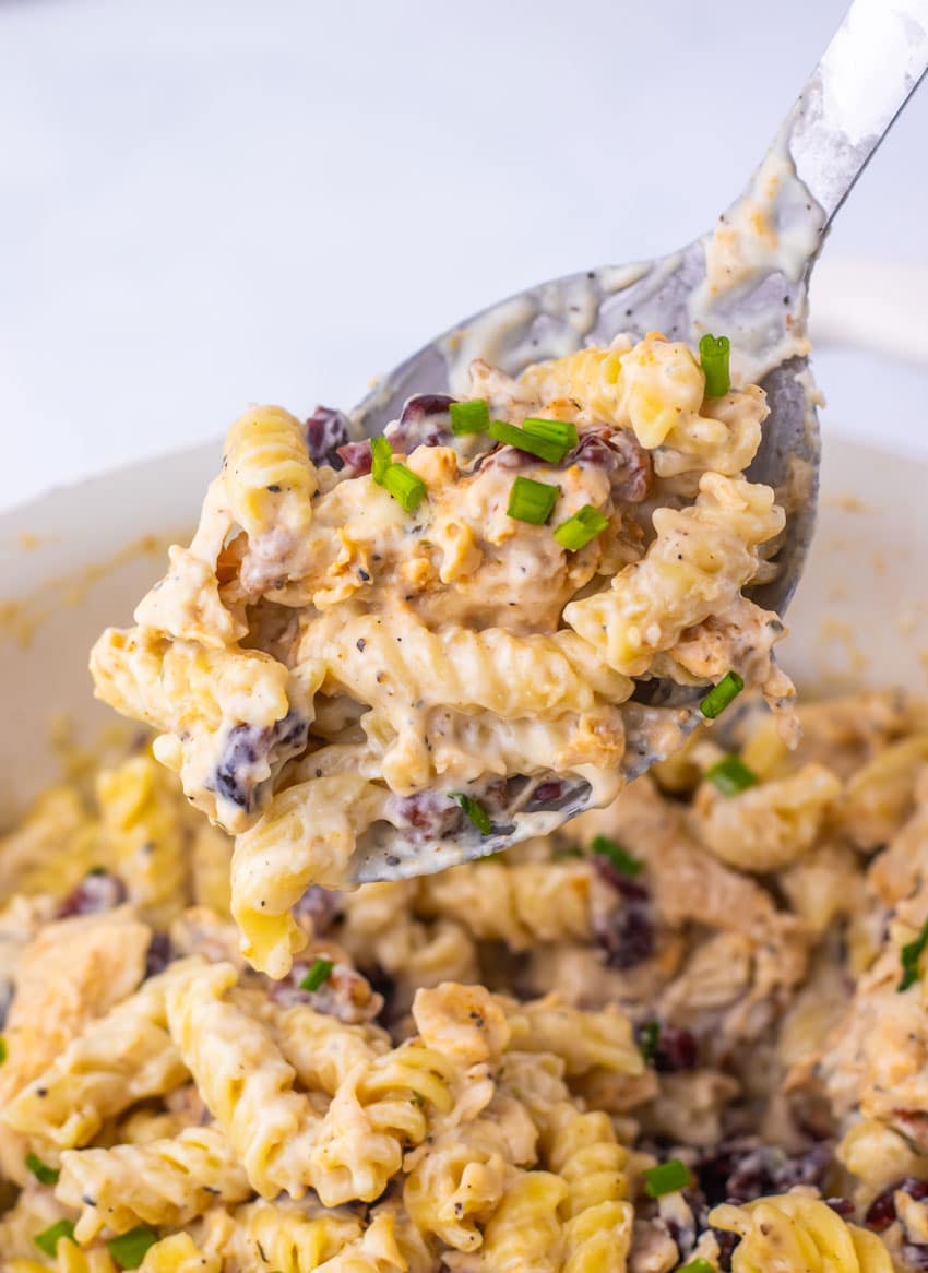 a silver spoon holding up a scoop of creamy cranberry white cheddar chicken pasta