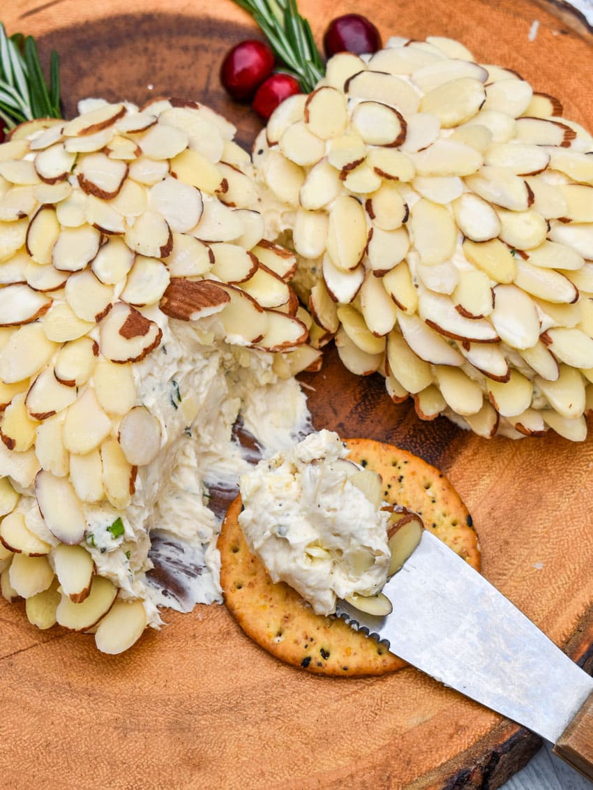 a cheese spreader holding a scoop of holiday cheese ball resting on a multigrain cracker